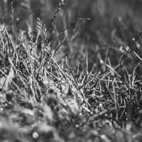 Agriculture & Agroalimentaire